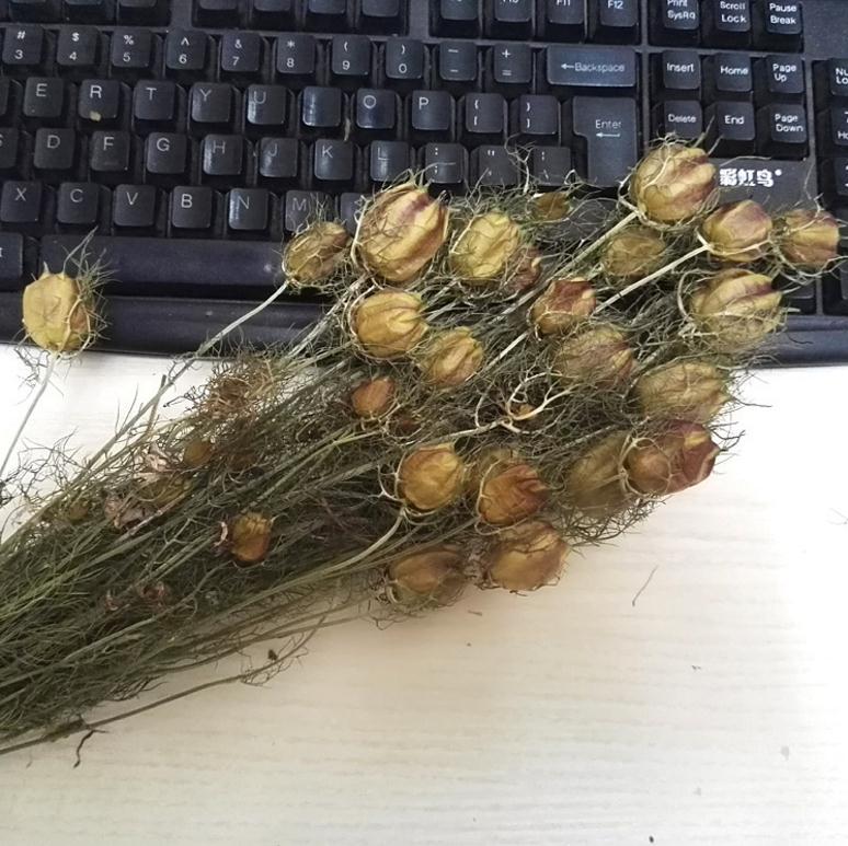 进口保真永生花黑种草家居装饰花瓶花插花艺术花材厂家批发一件代