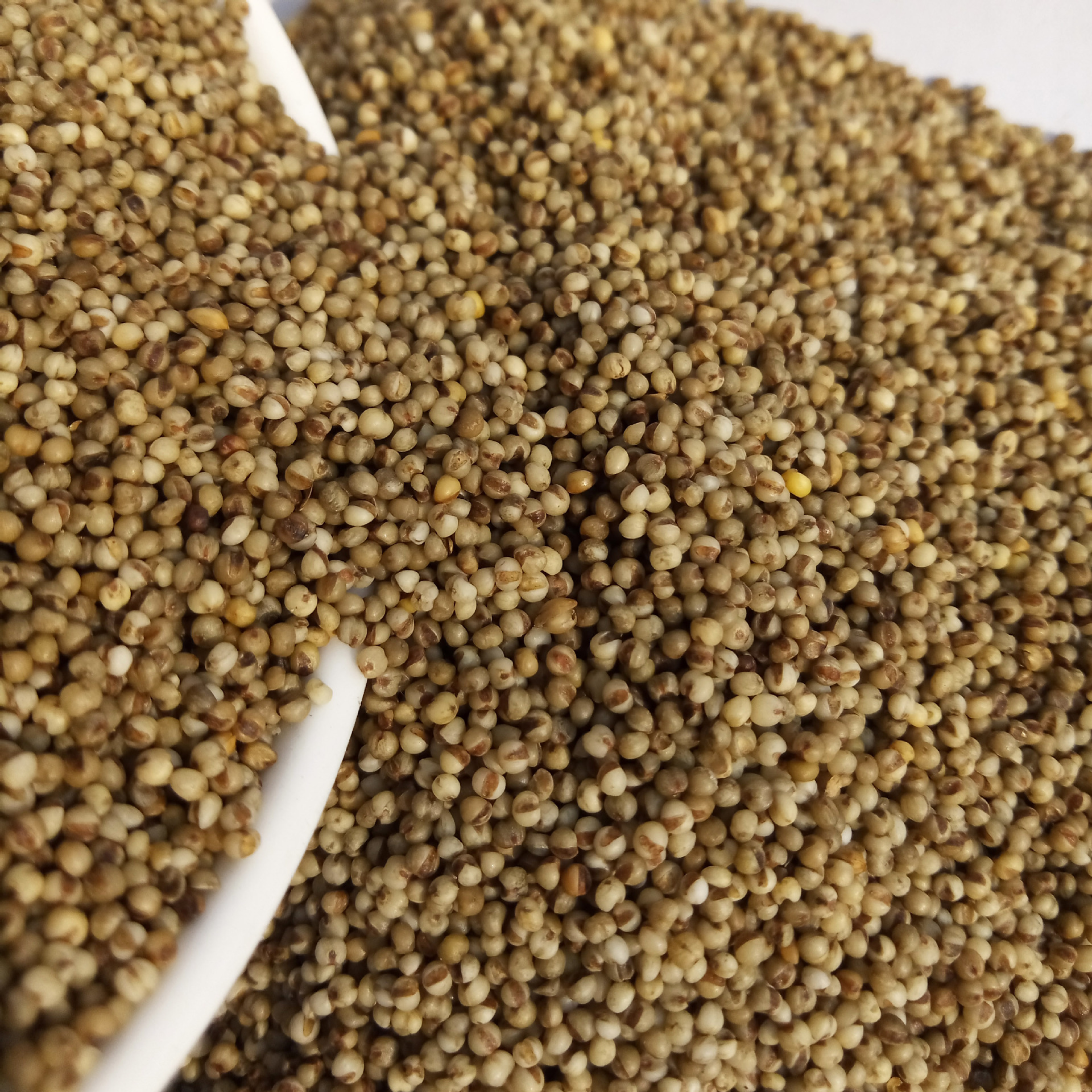 熟黑小米 低温烘焙熟五谷杂粮 黑小米 磨粉 现磨豆浆原料