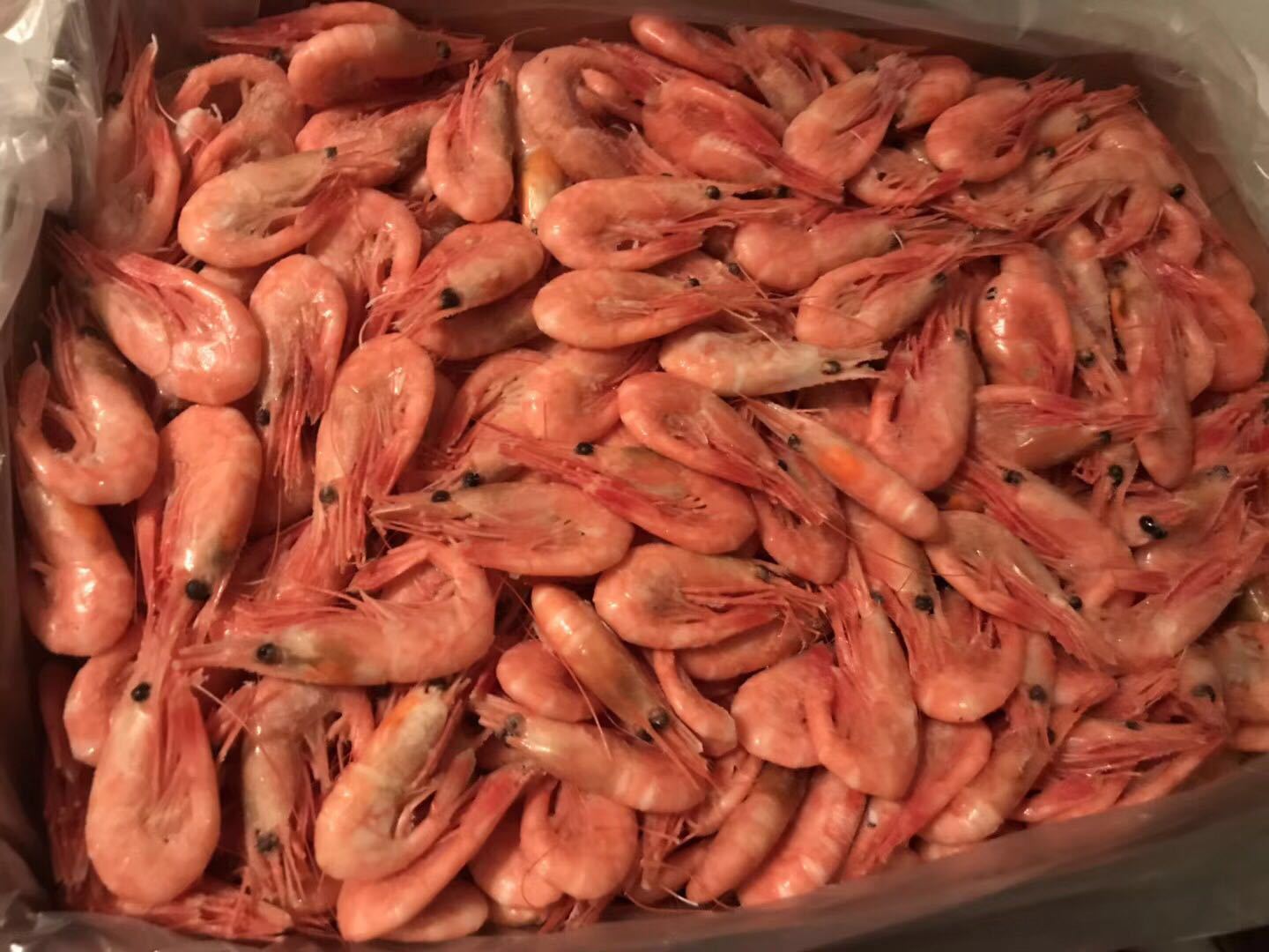 【马加丹】-马加丹厂家,品牌,图片,热帖-阿里巴巴