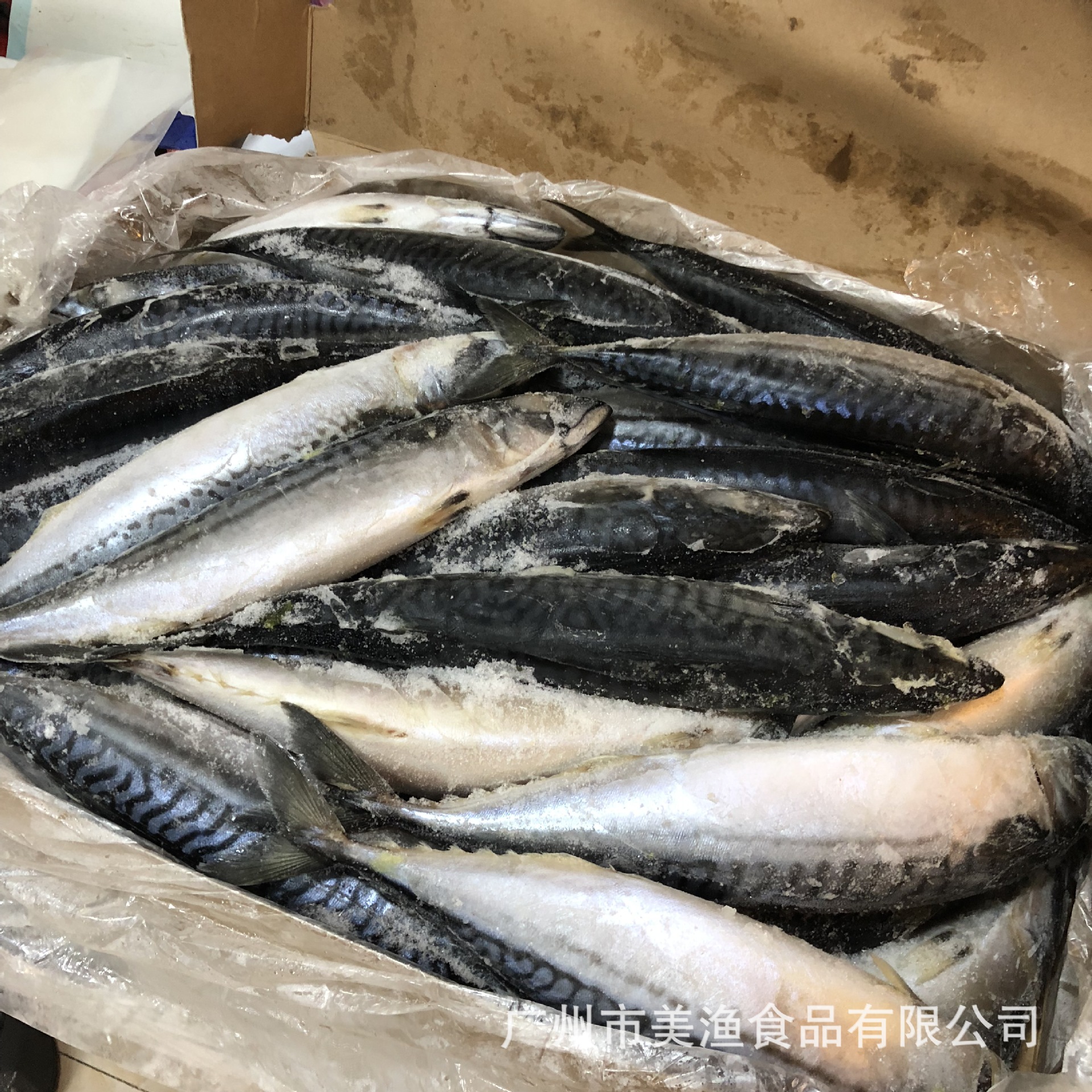 挪威冷冻原条青花鱼鲐鱼冷冻青鱼 烧烤 日式料理400-600g/条 20kg