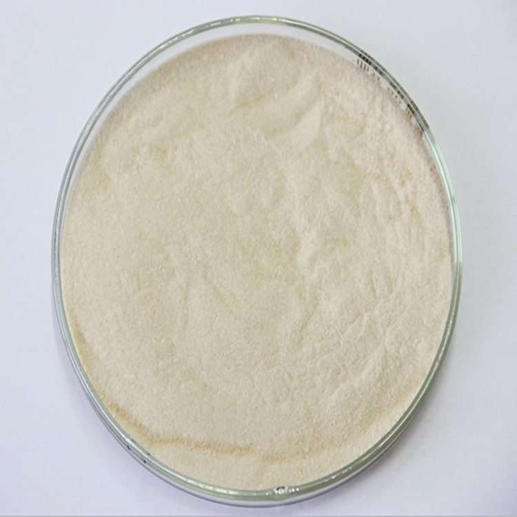 食品级 风味酶 复合风味蛋白酶 生物酶制剂原料 高活力 含量99