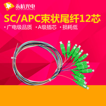 厂家批发 永杭SC/APC-0.9mm束状尾纤跳线单模尾纤SC头广电级12芯