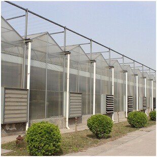 厂家直销现代钢结构玻璃墙面屋顶阳光房大棚温室专用坡顶建筑设计