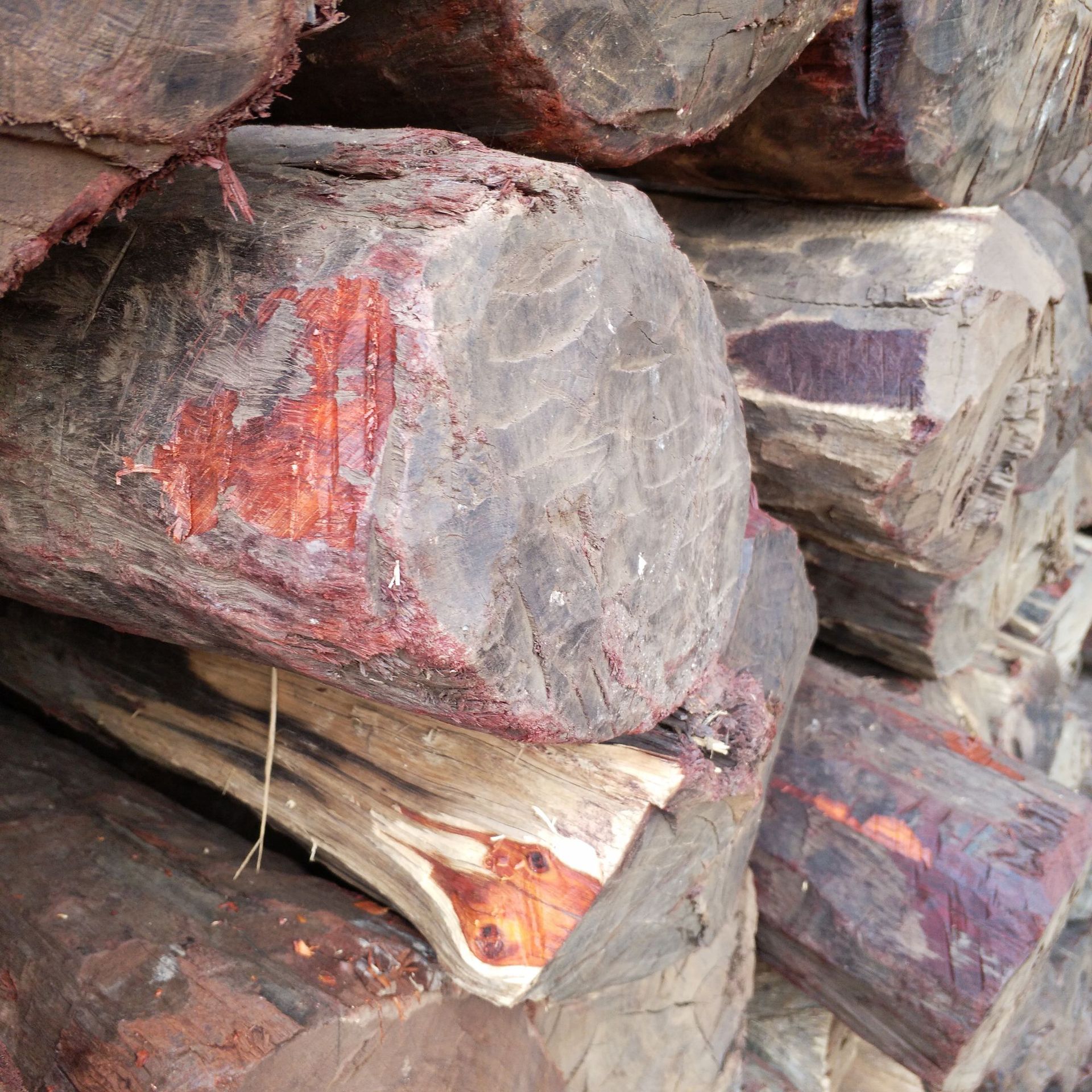 张家港原木 精品 赞比亚 小叶紫檀 现货供应 价格优惠