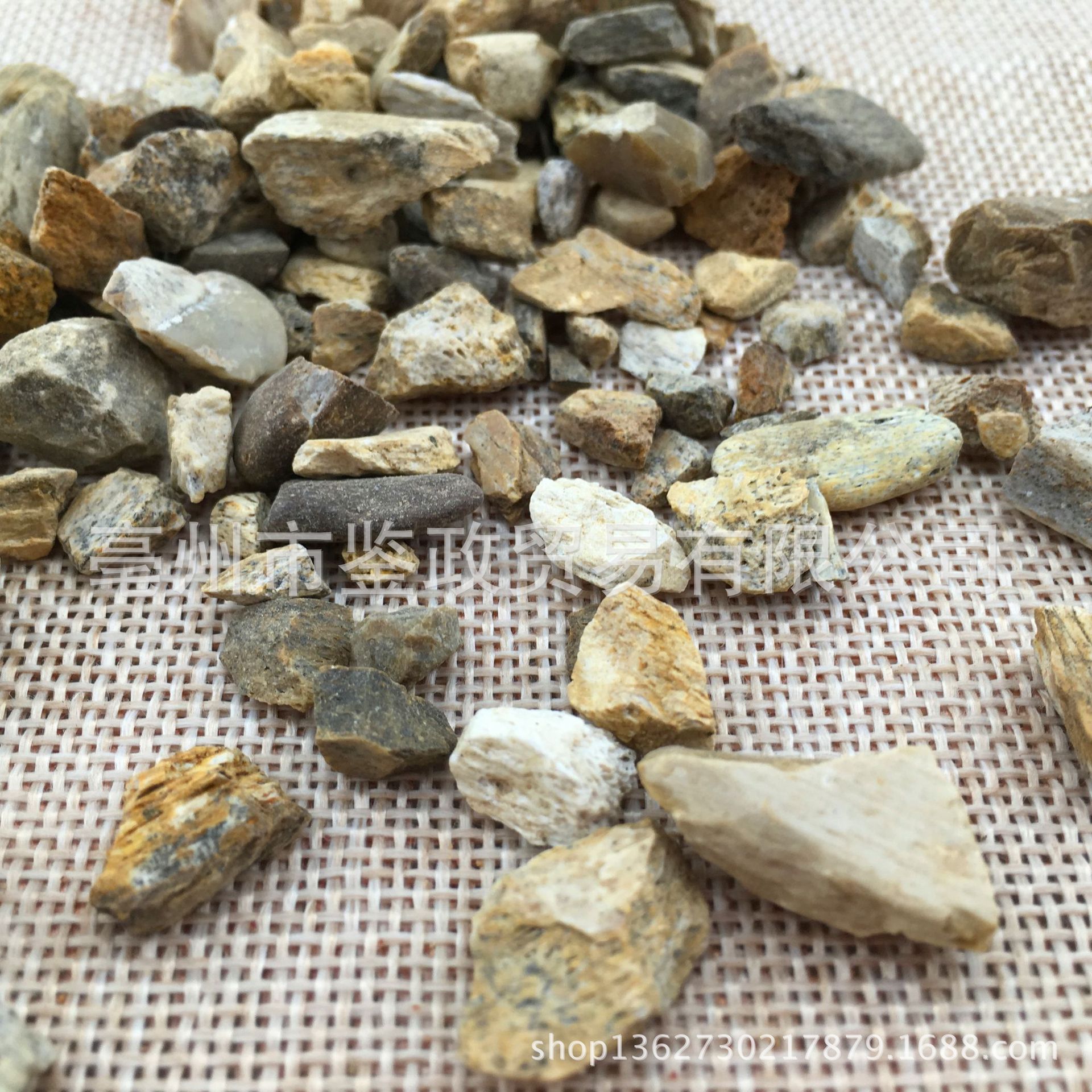 中药材 龙齿 青龙齿 包正品 白龙齿 量大从优