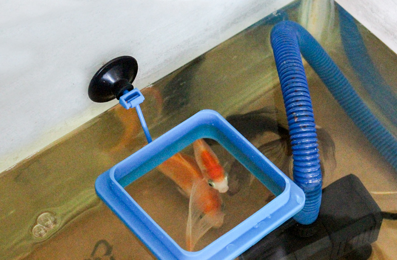 鱼缸喂食圈喂食器 水族箱投食器投食圈喂食漂浮圈