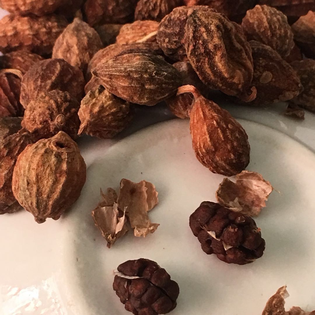 中药材益智仁小砂仁去皮砂仁 天然调料香料 批发哦