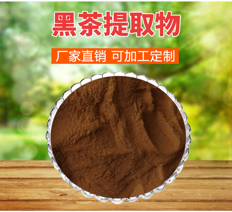 黑茶提取物 50:1高比例黑茶粉 含茶多酚 横岭供应 1kg起订 儿茶素