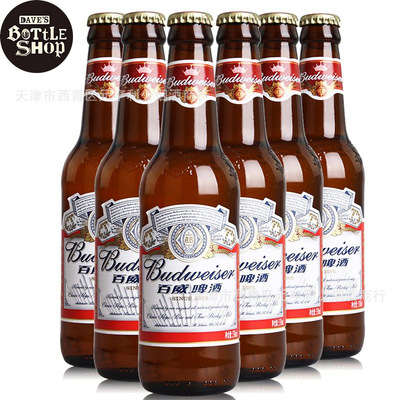 夜场专用ktv百威啤酒瓶装330ml*24整箱小瓶啤酒中浓度玻璃瓶啤酒