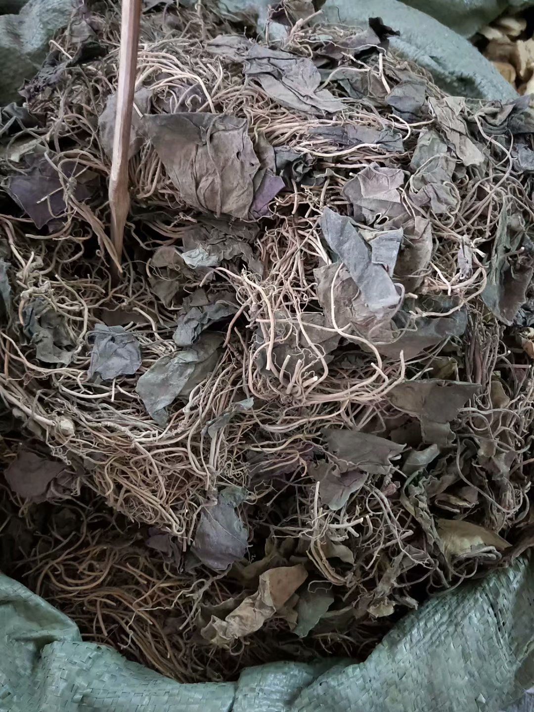 批发中药材金耳环 土细辛