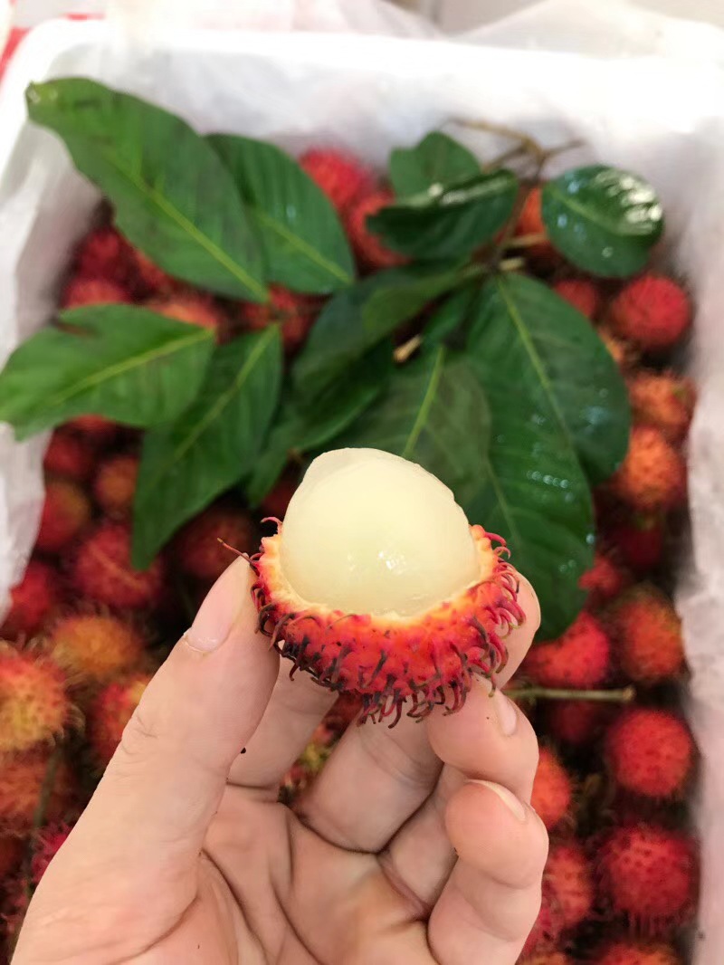 红毛丹新鲜水果毛荔枝5斤泡沫箱冰袋代发