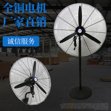 厂家直销 工业风扇落地牛角扇 大功率壁挂墙电风扇750 650 500