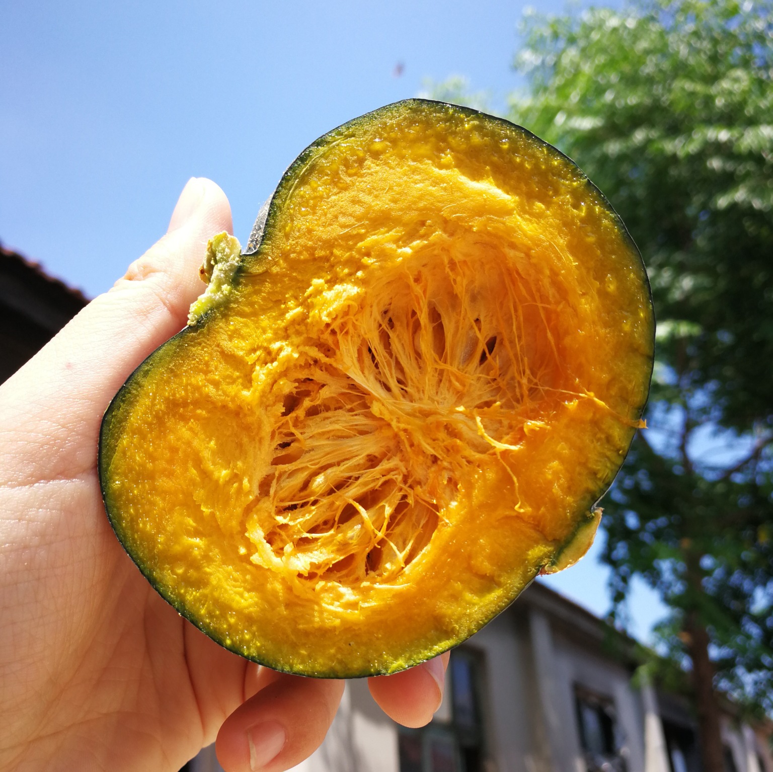 香甜小南瓜果园现摘 甜糯香浓正宗迷你小南瓜厂家直销新鲜南瓜