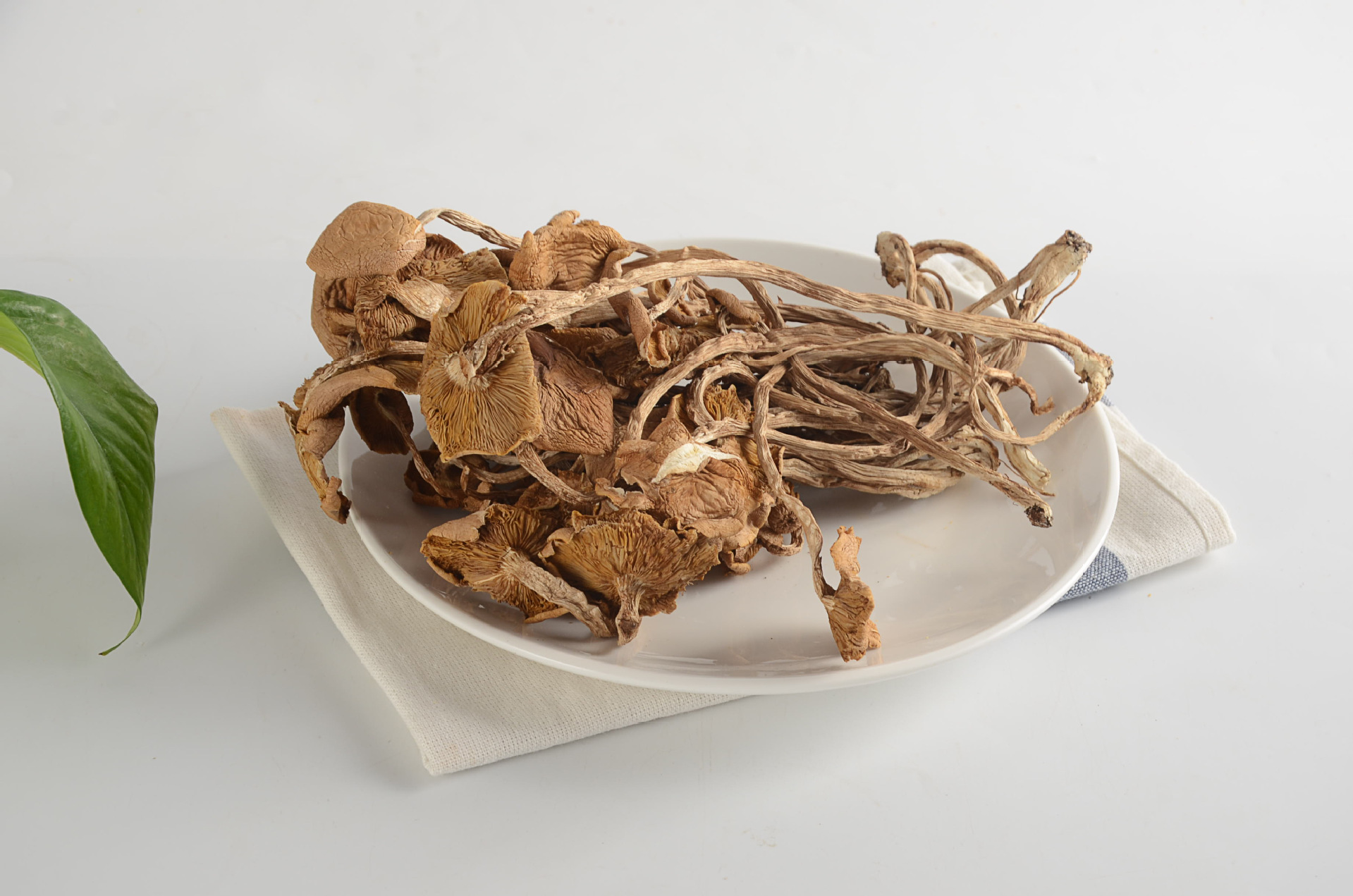 冠发古田特产开伞茶树菇500g礼袋新货茶薪菇干货食用菌批发直销