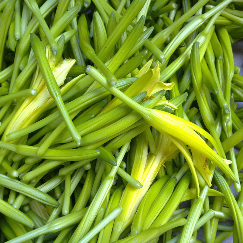 黄花菜 金针菜礼盒 新货农家萱草脱水菜250g 干货四川特产