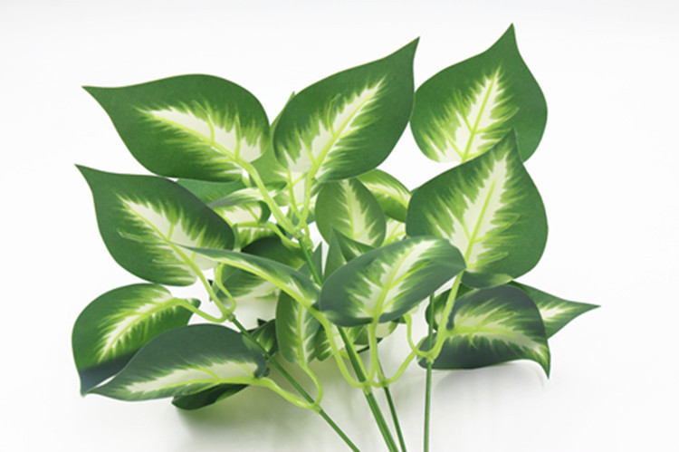 义乌厂家供应植物墙绿植墙装饰配材叶子5叉白色仿真绿萝叶