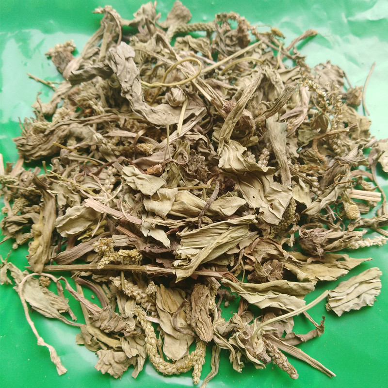 健豪批发供应中药材车前草 五根草 车轮菜欢迎进店咨询采购