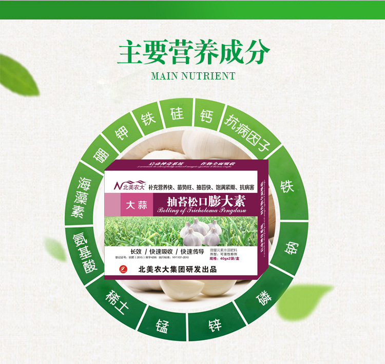 大蒜抽苔松口膨大素40g*200袋提高重量茎枝粗壮根茎膨大蒜头大