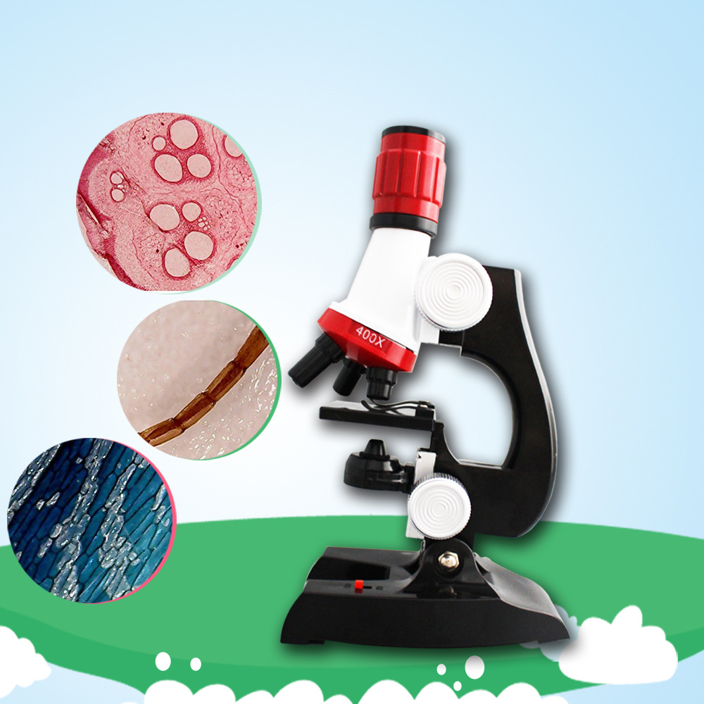 35种分类教学玻片标本儿童显微镜套装生物创意礼物套装可选