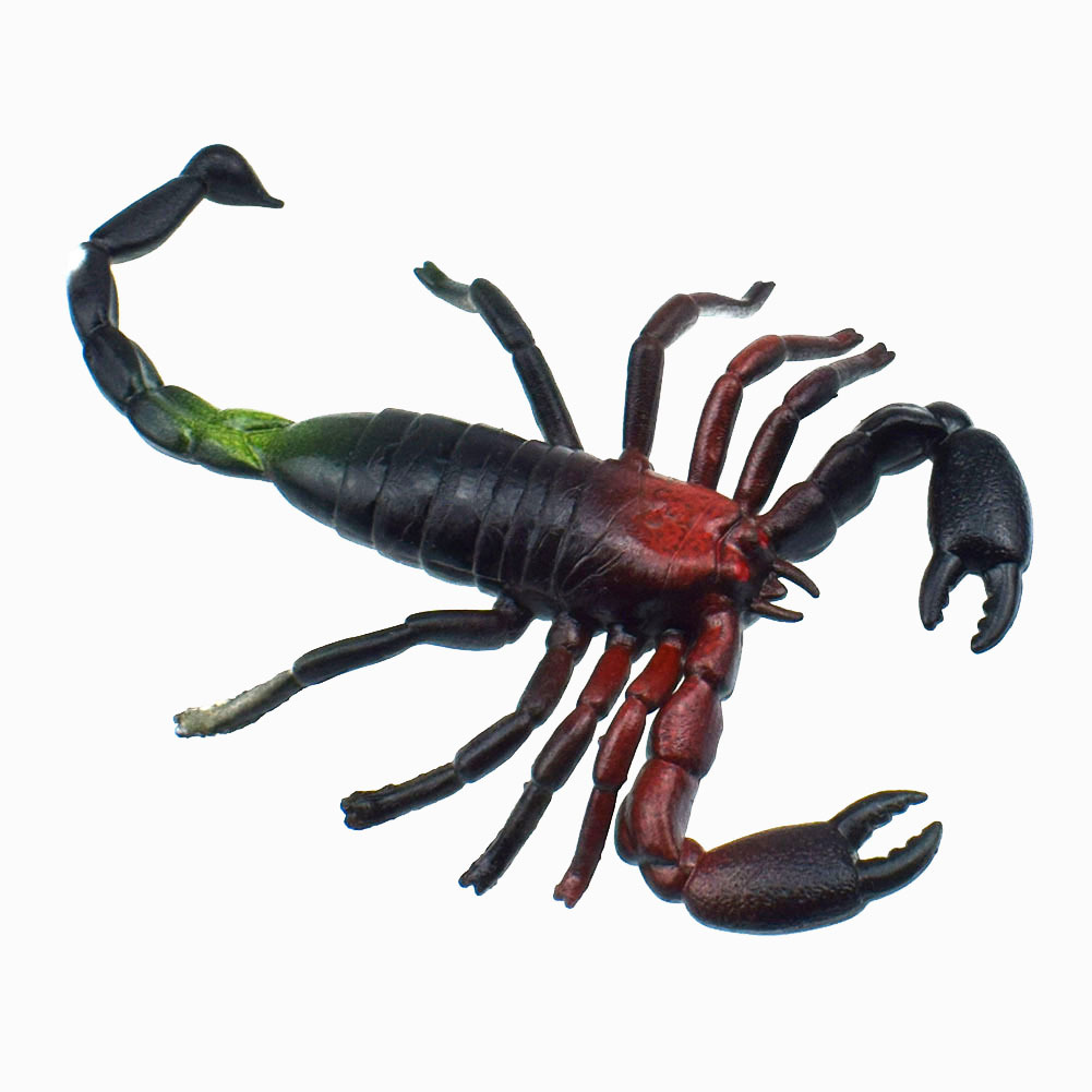 tpr软胶仿真蝎子玩具蝎子玩具恶作剧吓人整蛊恶搞整人恐怖动物