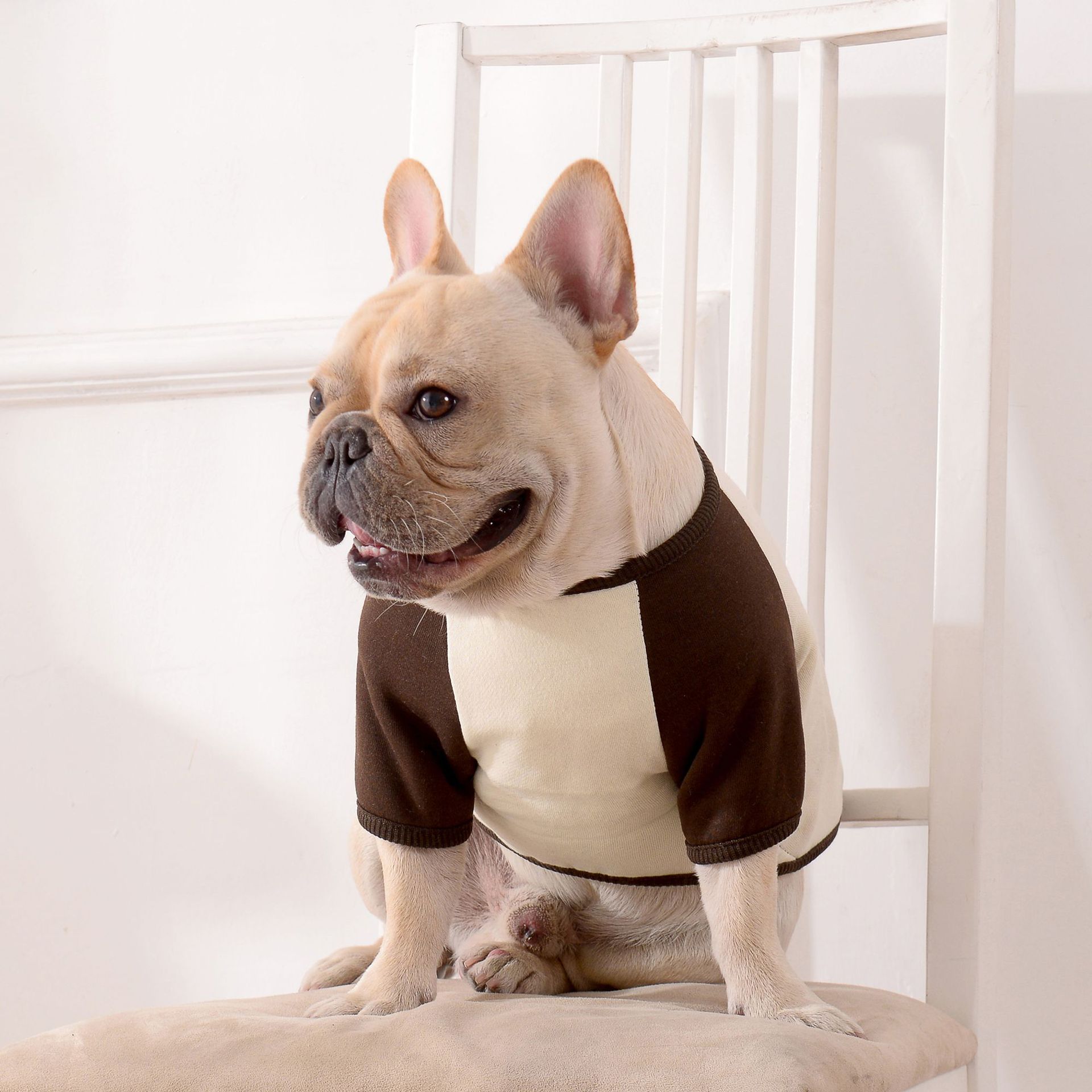 秋季新款宠物服饰 纯棉狗狗卫衣 透气舒适厂家供应