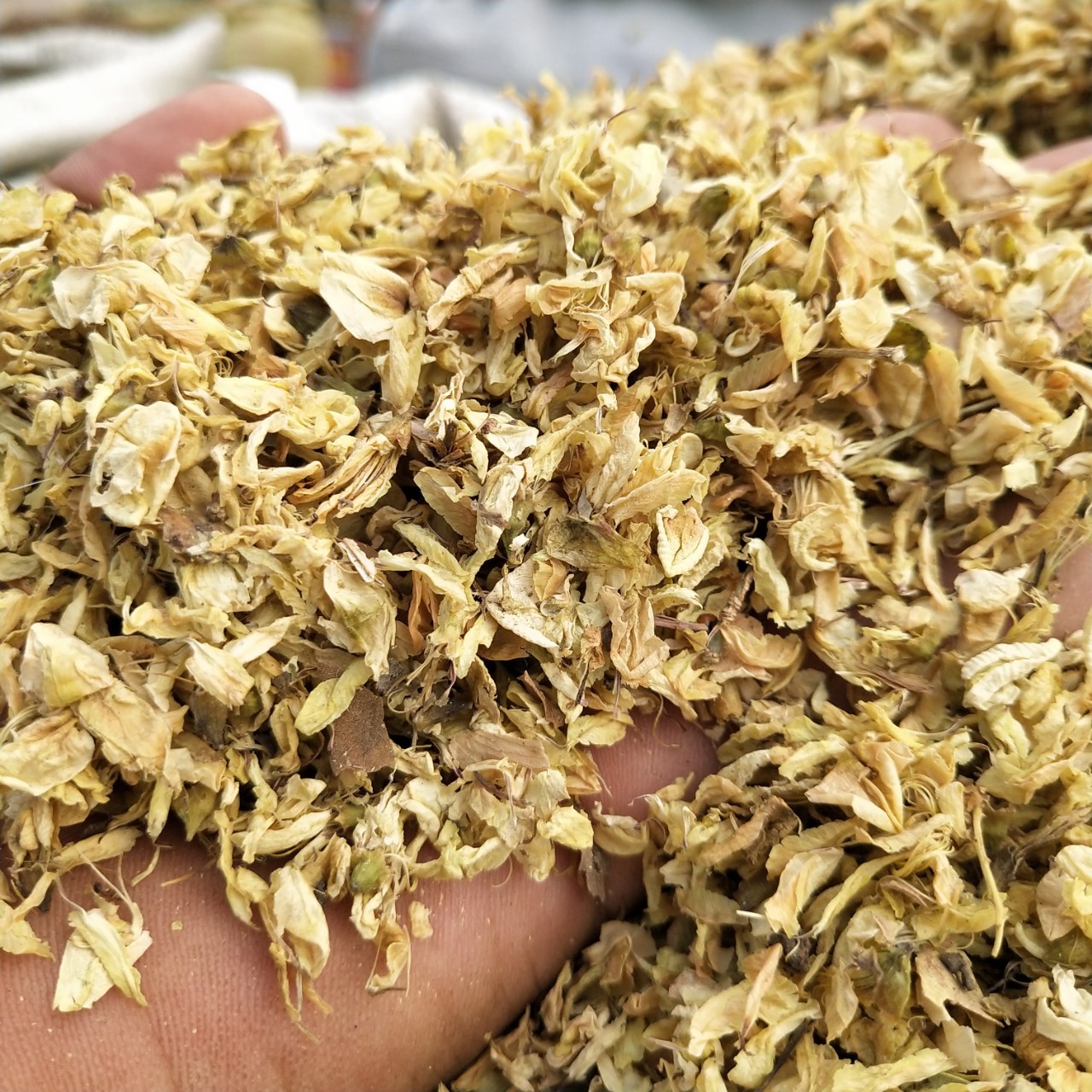 中药材 槐花 大货 批发 包邮