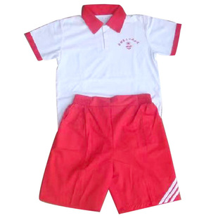 定制小学生夏装校服 小学生套头衫运动服纯棉校服厂家直销