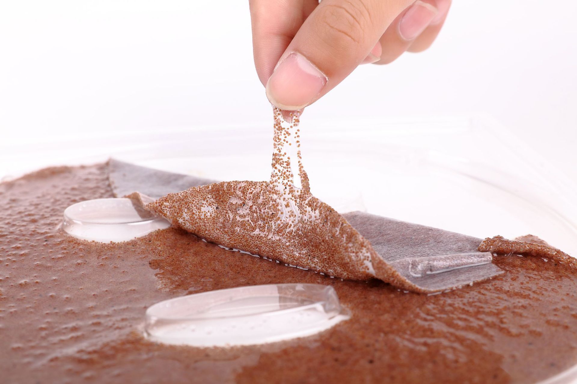 海藻面膜贴补水保湿提亮10片 50片装小颗粒海藻批发包邮厂家代发