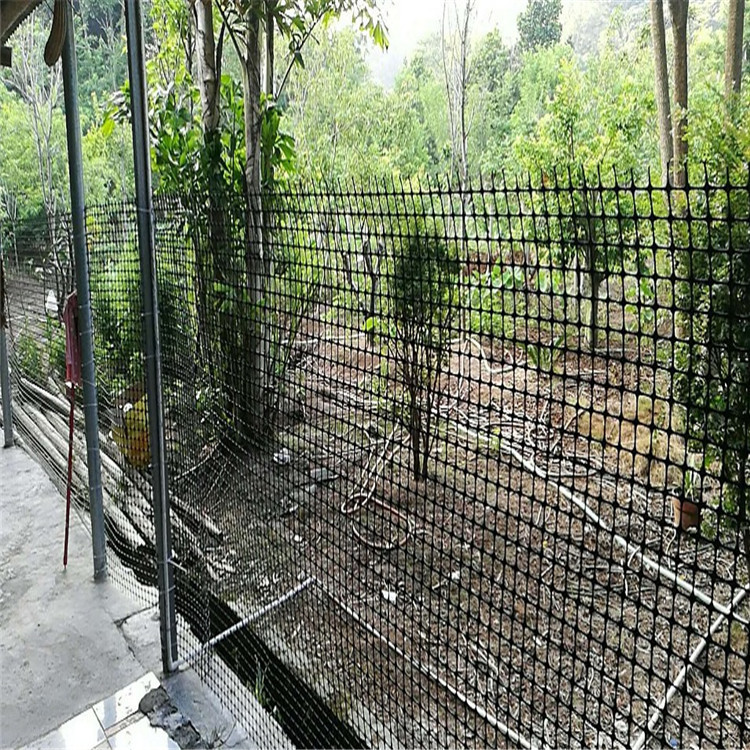 双向单向塑料高速公路路基工程用玻纤钢塑涤纶土工格栅护坡护堤网