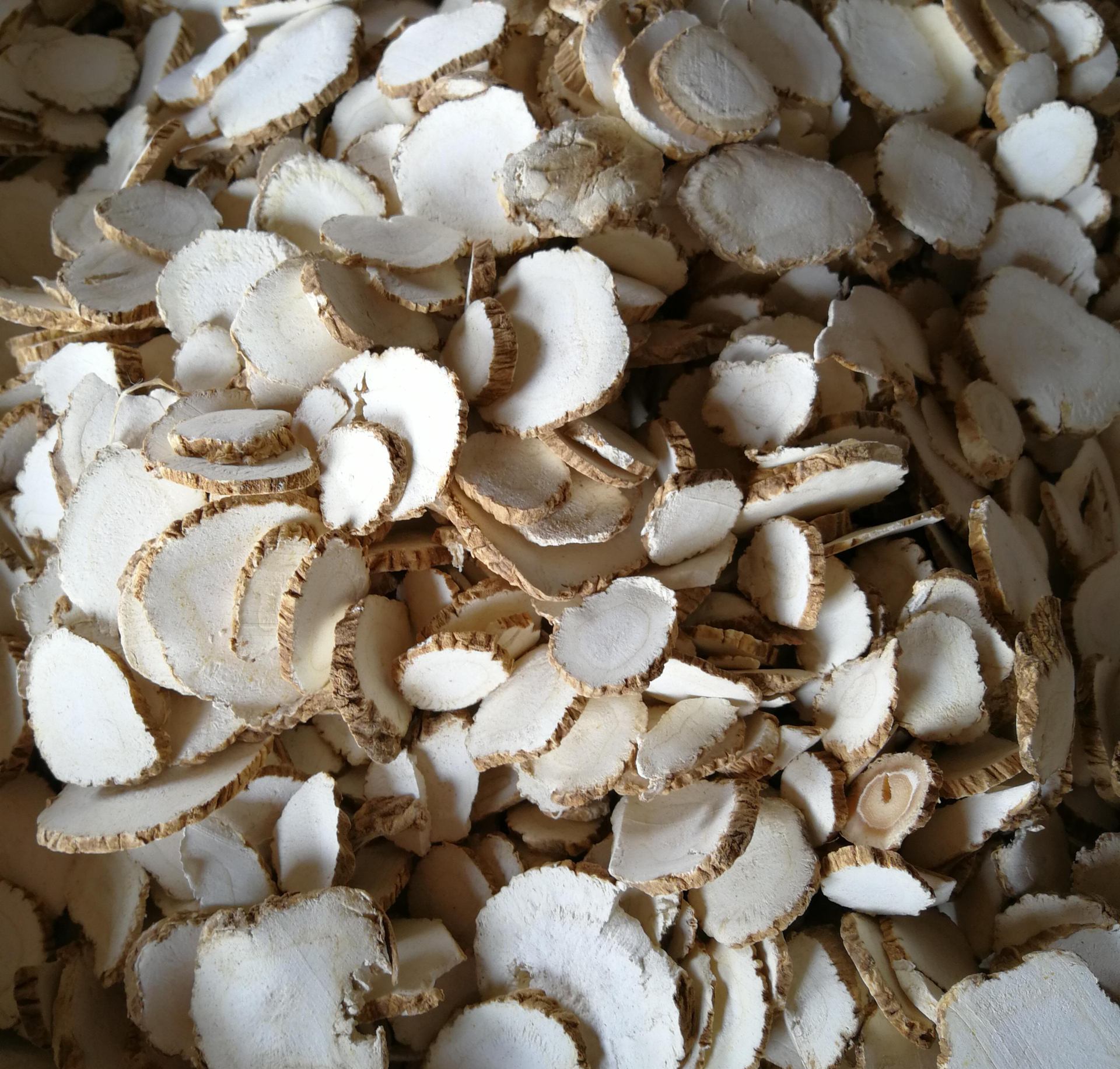 供应中药材白芷 白芷片 香味调料精选白芷整个片 量大从优白芷