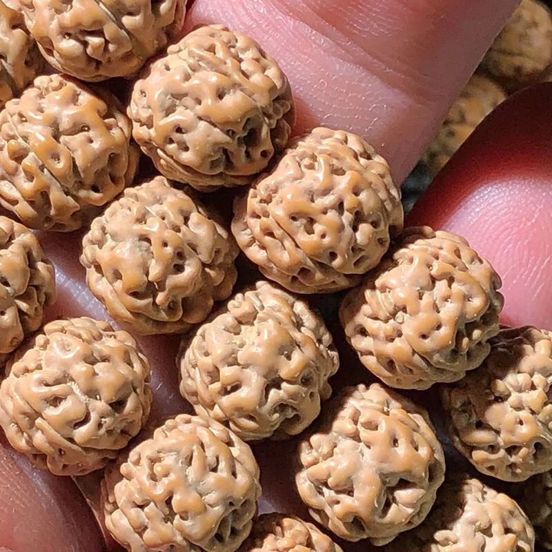 蜂窝鬼脸小金刚菩提子爆蜂窝鬼脸金刚菩提手串佛珠