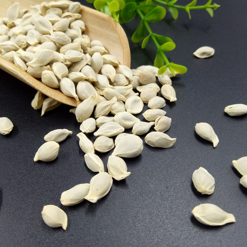 优质散装橘核 橘米 橘子仁 桔核 新货 干净无杂质现货大货批发