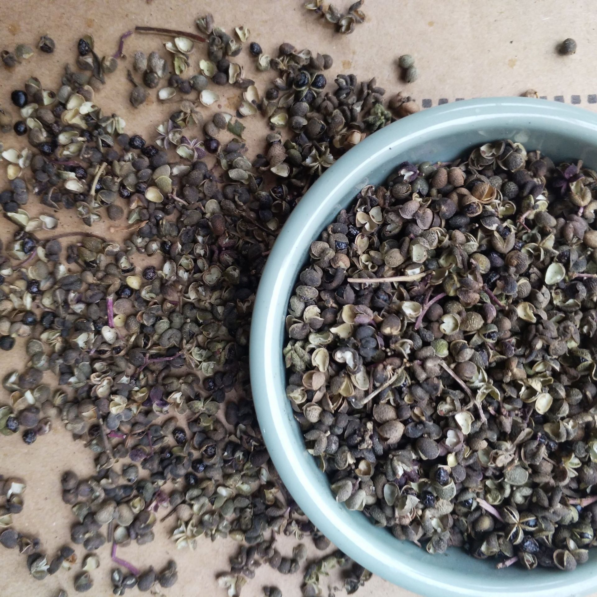 四川川椒 川椒 川椒泡脚足浴包 花椒 泡脚用川椒