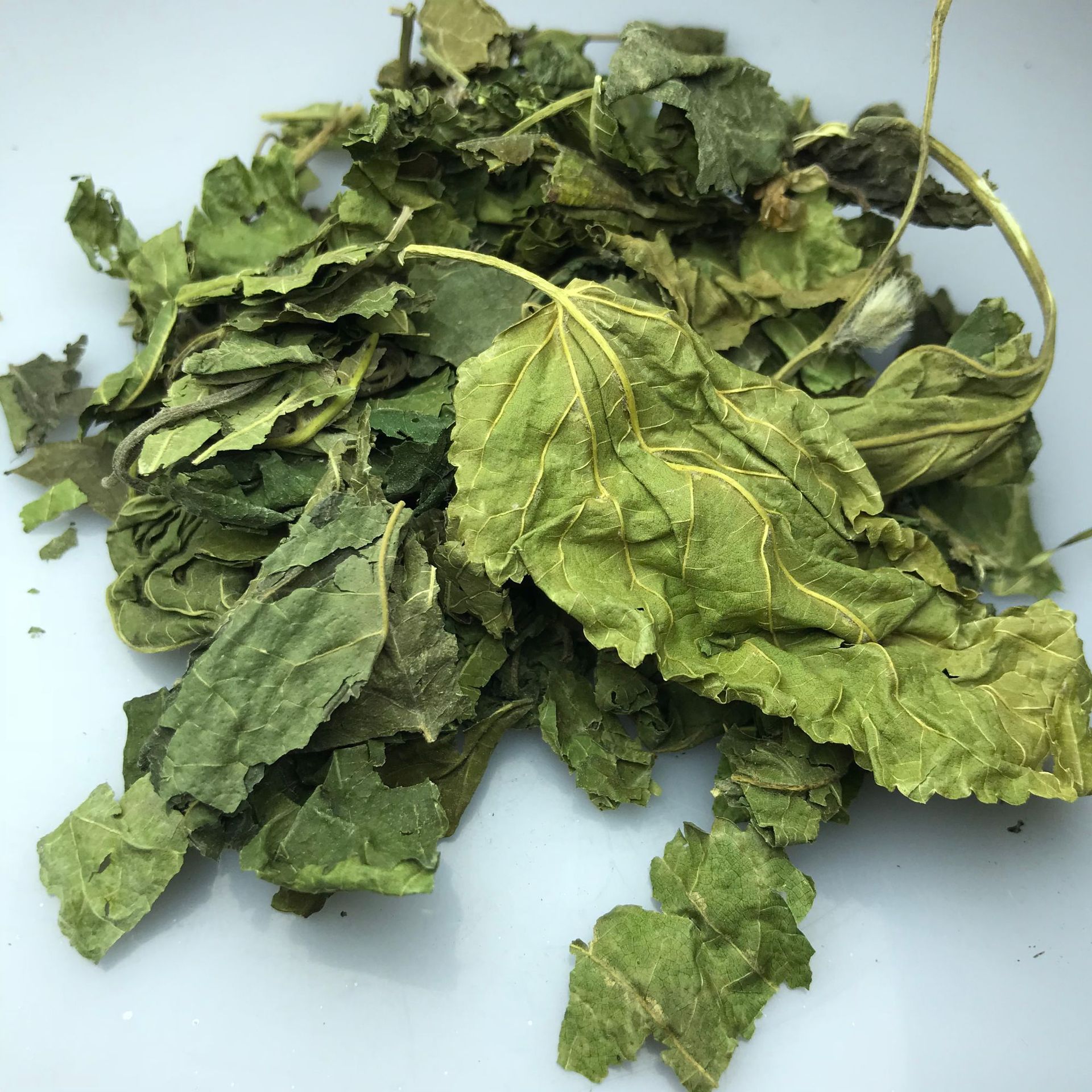 批发现货 桑叶 中药材 干桑叶 青桑叶 名贵 冷背奇 一站式采购点