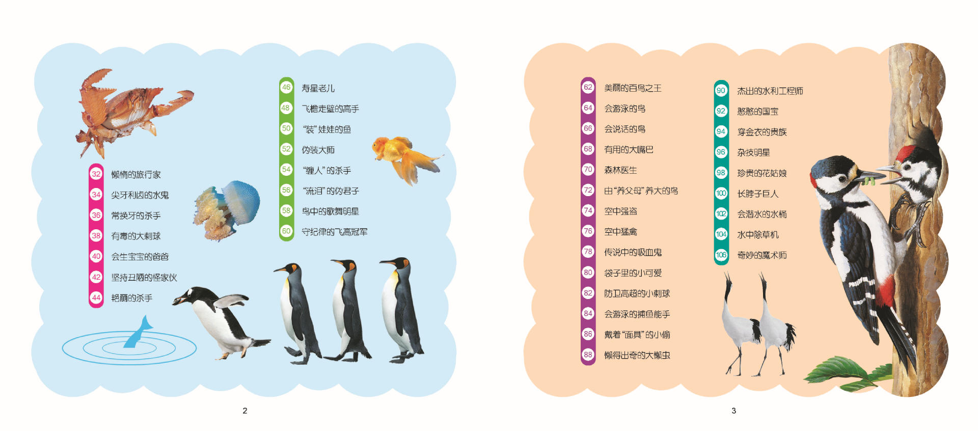 动物王国 目录2