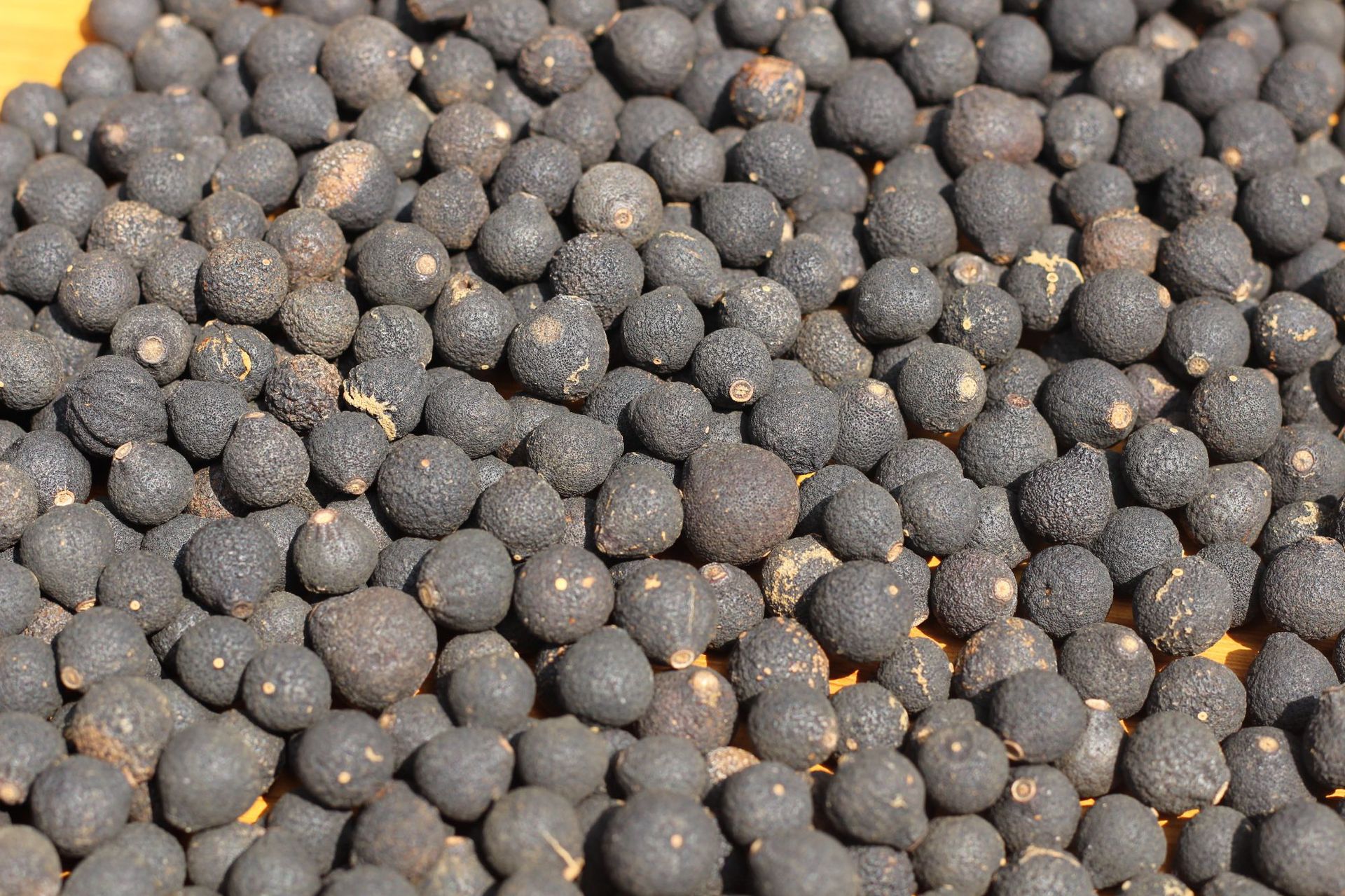 厂家批发无落地泡茶小柑胎新会柑胎茶小青胎新会茶枝柑胎散装批发