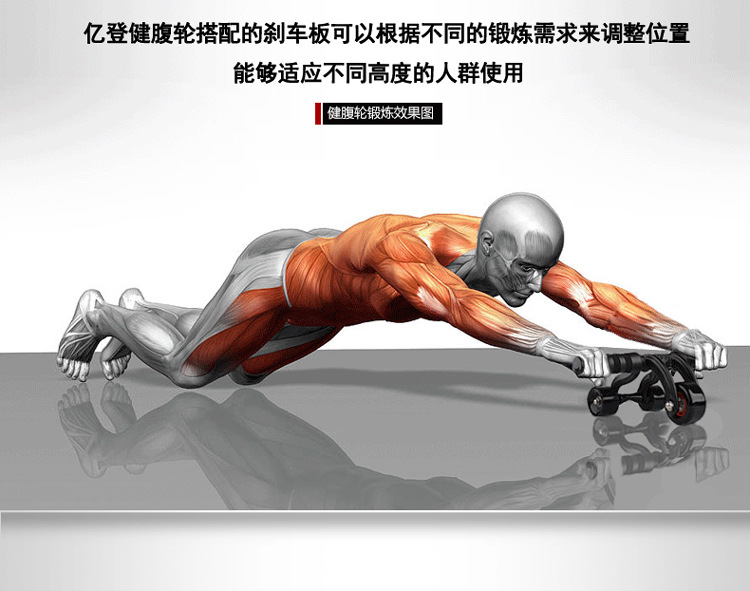 工厂批发静音轴承三轮四轮健腹轮腹肌轮滚轮男收腹器健身器材家用