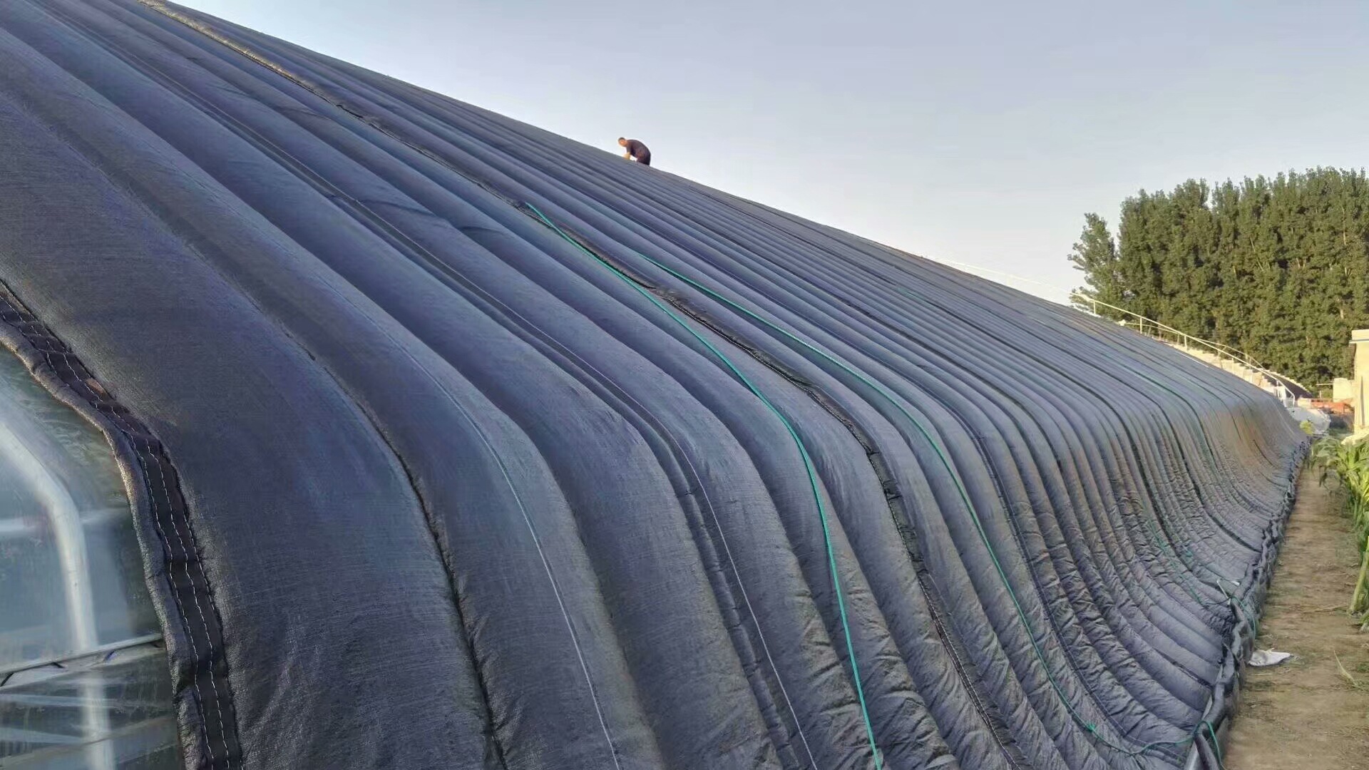 大棚保温被 大棚保温棉毡棉被 太空棉防雨布 山东厂家 批发价格