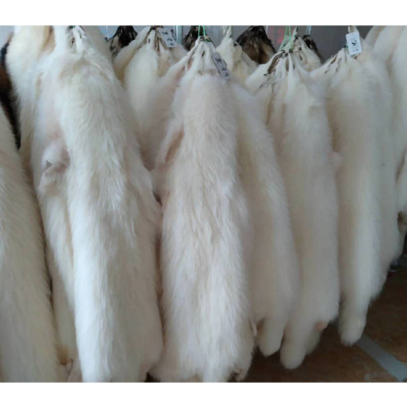 厂家批发皮草原料貉子皮毛白色整皮现货批发染色定做浣熊皮白貉子