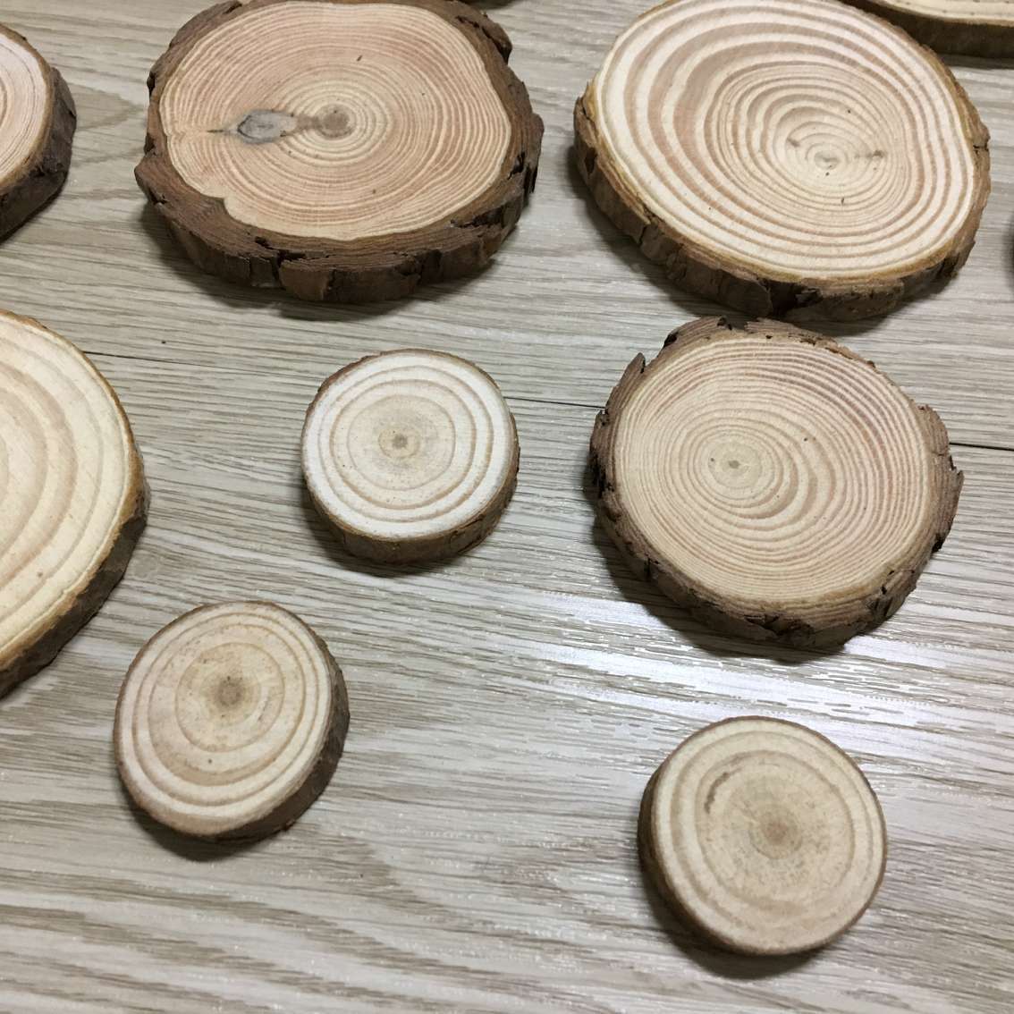 原色圆木片 画画装饰原木片 松木片 拍摄道具 圣诞节庆装饰摆件