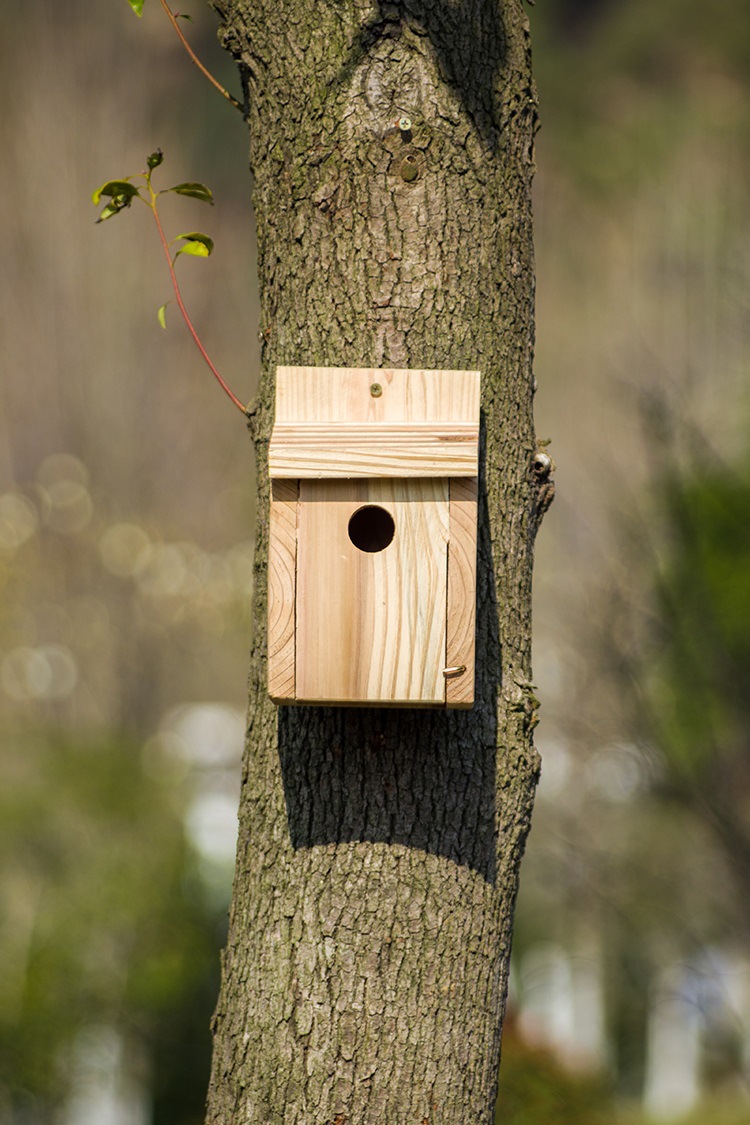 美国品牌 传统户外野鸟保护 防水防风防晒 鸟屋鸟窝 慈悲布施