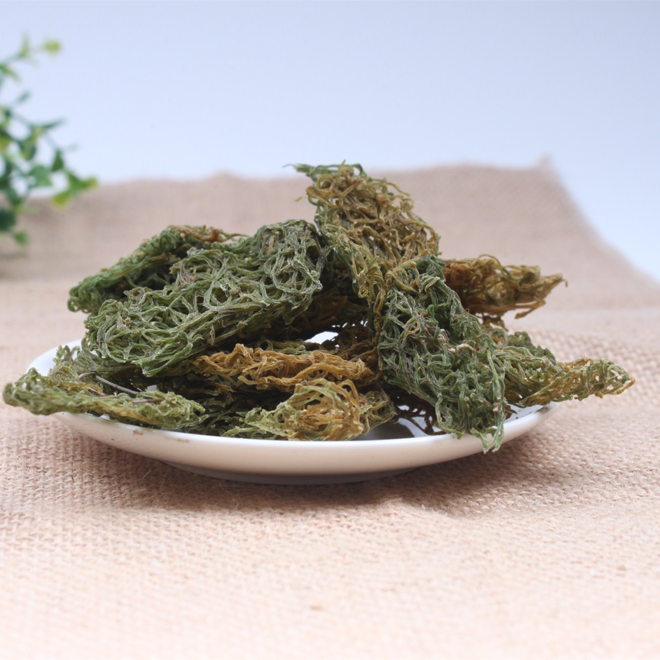 干货海粉挂面红海粉海珠海兔卵海兔子屎批发冷背奇海粉中药材海粉