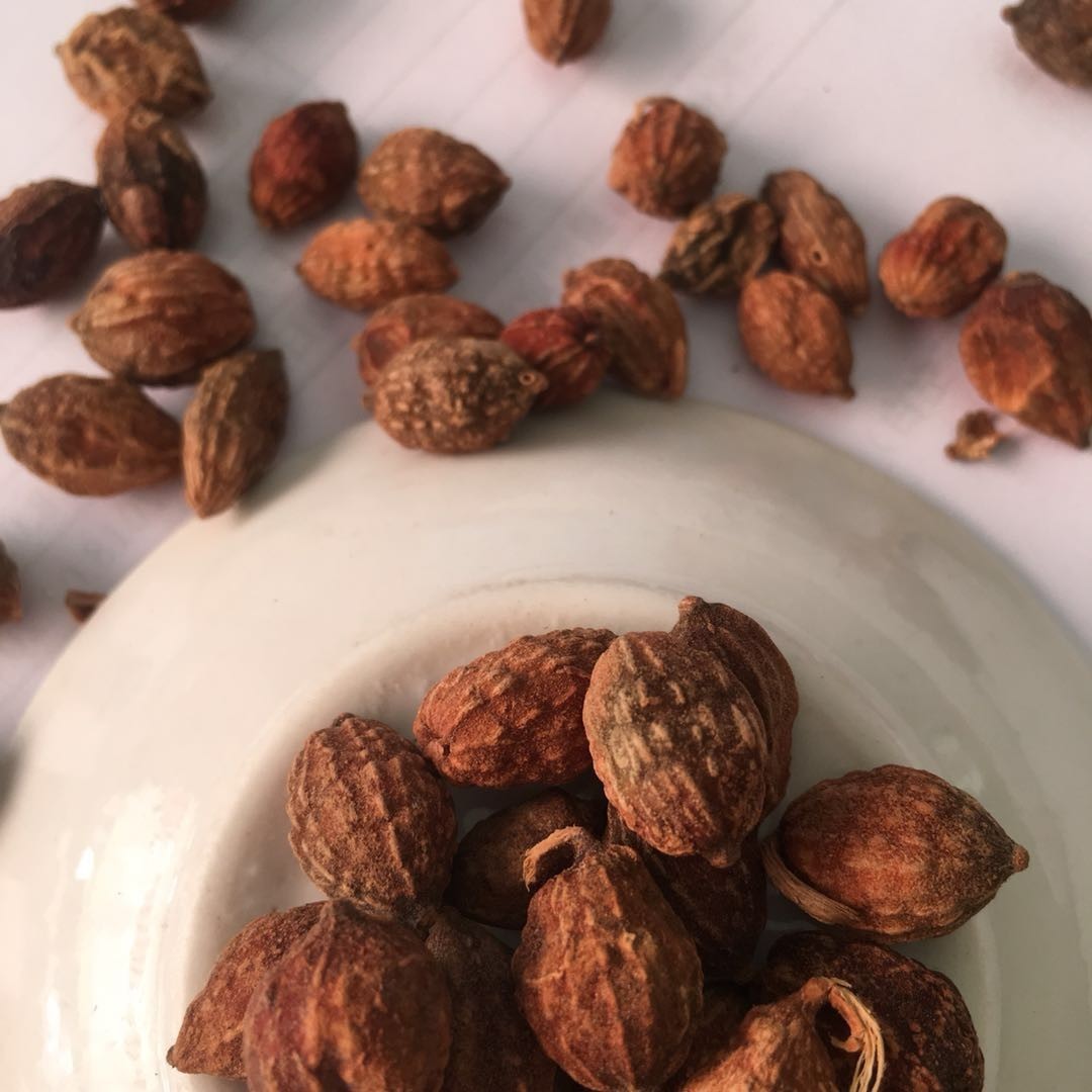 中药材益智仁小砂仁去皮砂仁 天然调料香料 批发哦