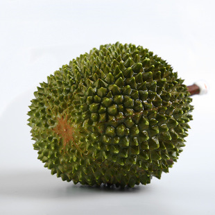 马来西亚新鲜水果液氮猫山王榴莲d197液氮榴莲直销现货批发