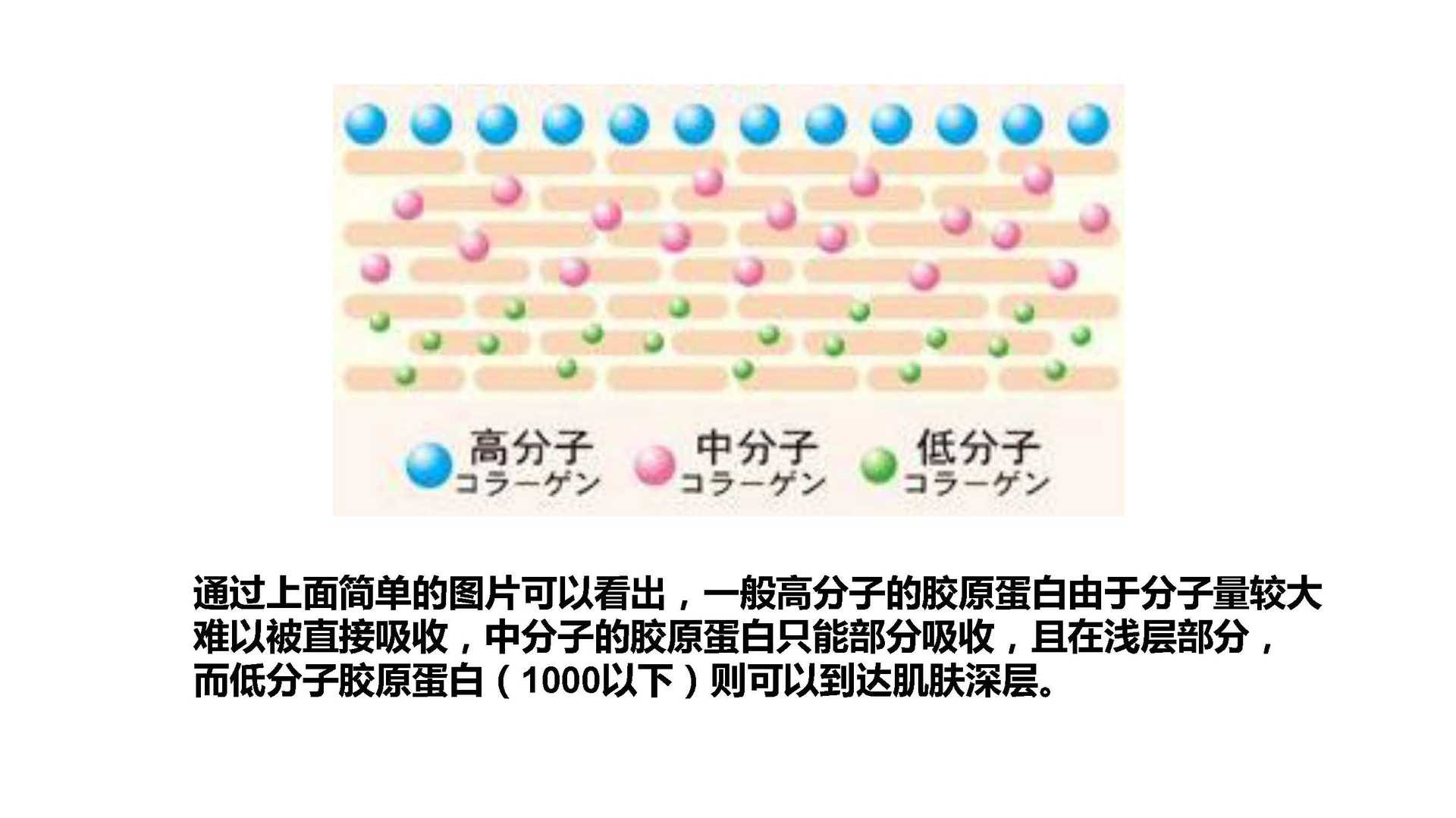 日本直发 现货低价日本红鲷鱼胶原蛋白 小分子红鲷鱼胶原蛋白