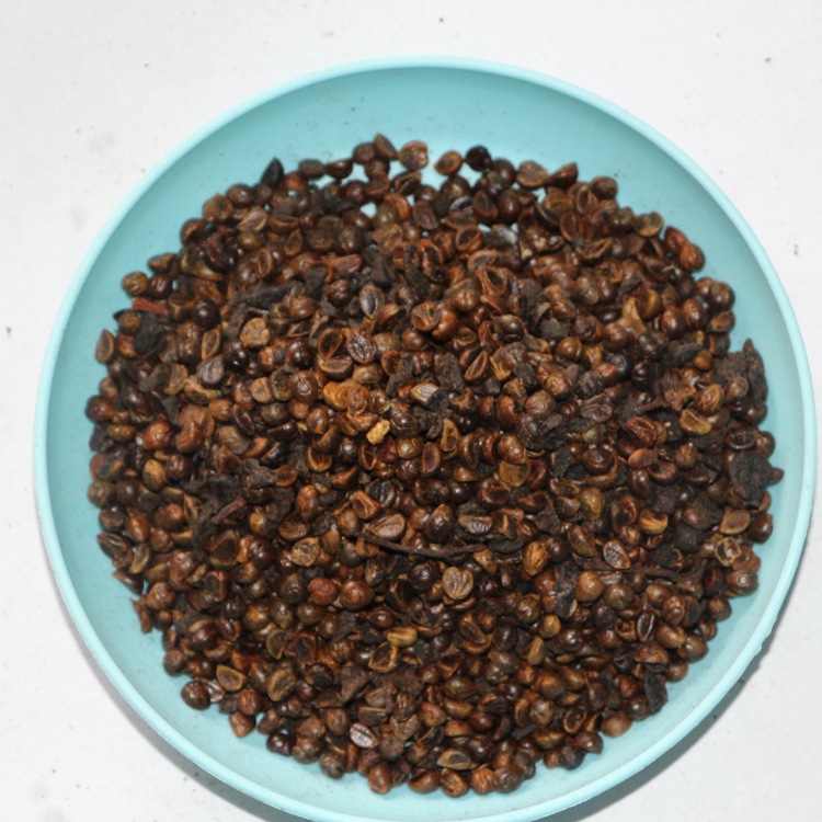 爬藤爬墙虎种子 爬山虎种子 攀援观叶植物 三叶地锦易种速生