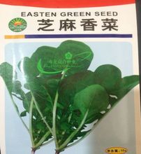 芝麻香菜种子 有芝麻香味的小青菜 好吃阳台种菜盆栽四季蔬菜