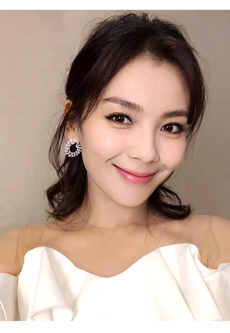 爆款刘涛同款耳钉女s925银针满钻微镶叶子橄榄枝耳环气质耳饰耳环