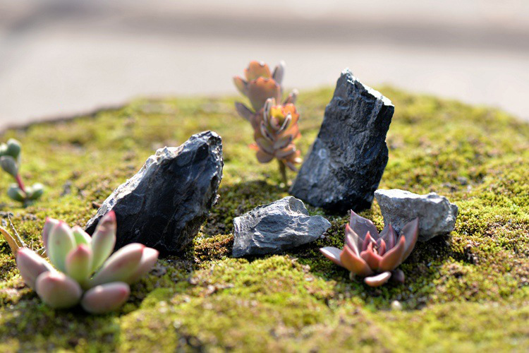 苔藓微景观生态瓶装饰品 青龙石 假山石 小石头 diy组装摆件