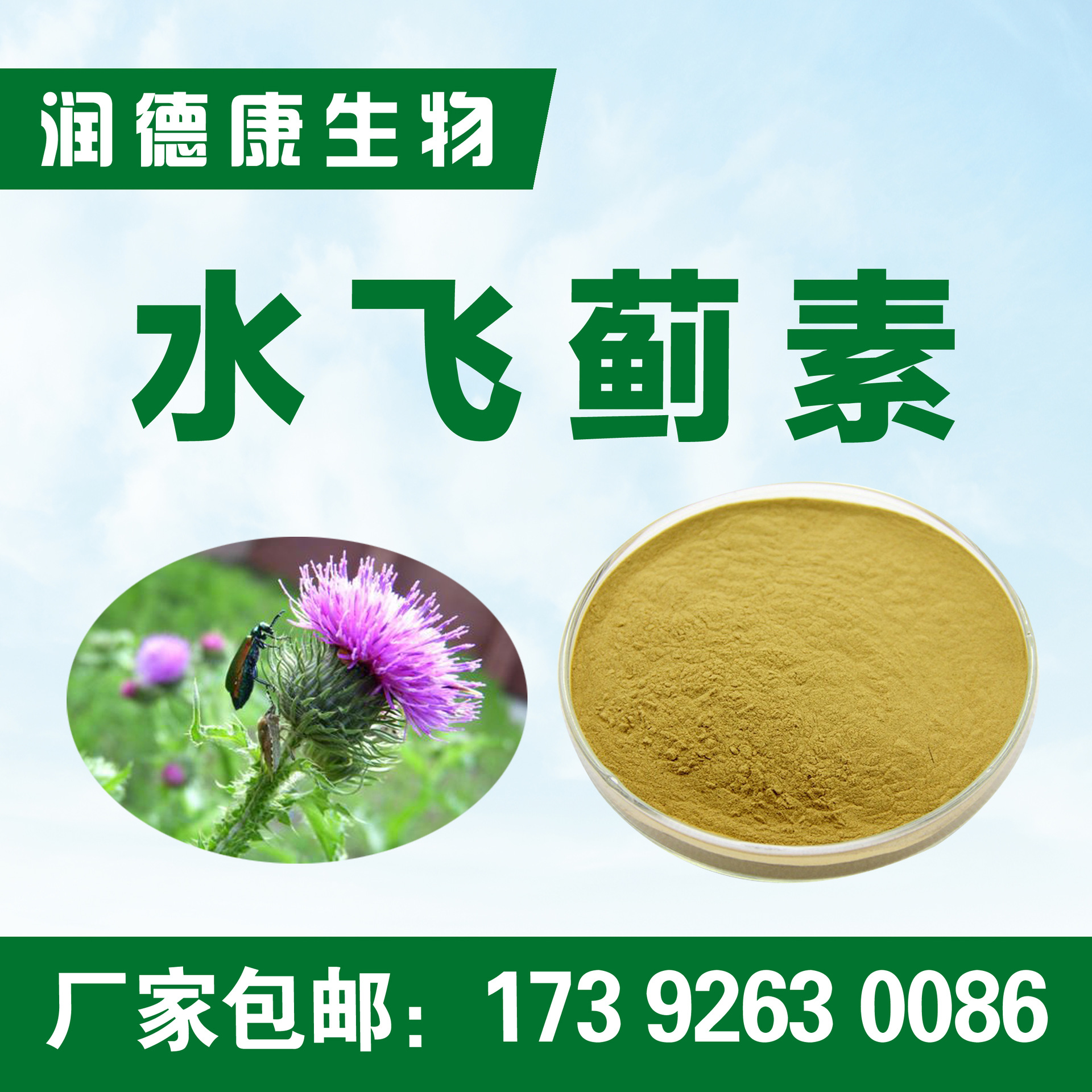 厂家现货 水飞蓟素80% 粉质细棉 食品级 水飞蓟提取物 包邮